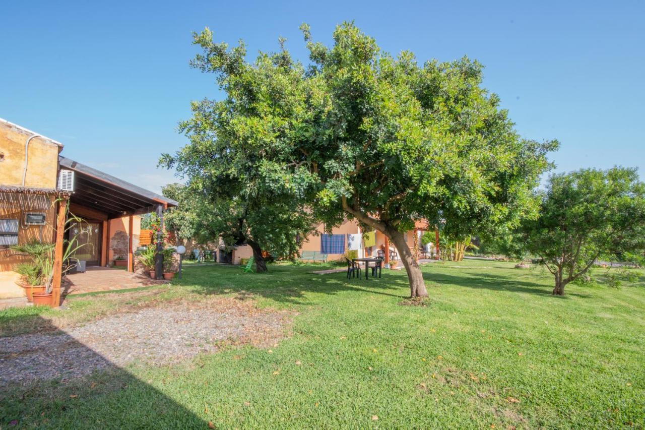 Is Cuccus Bed & Breakfast Masainas Exterior photo