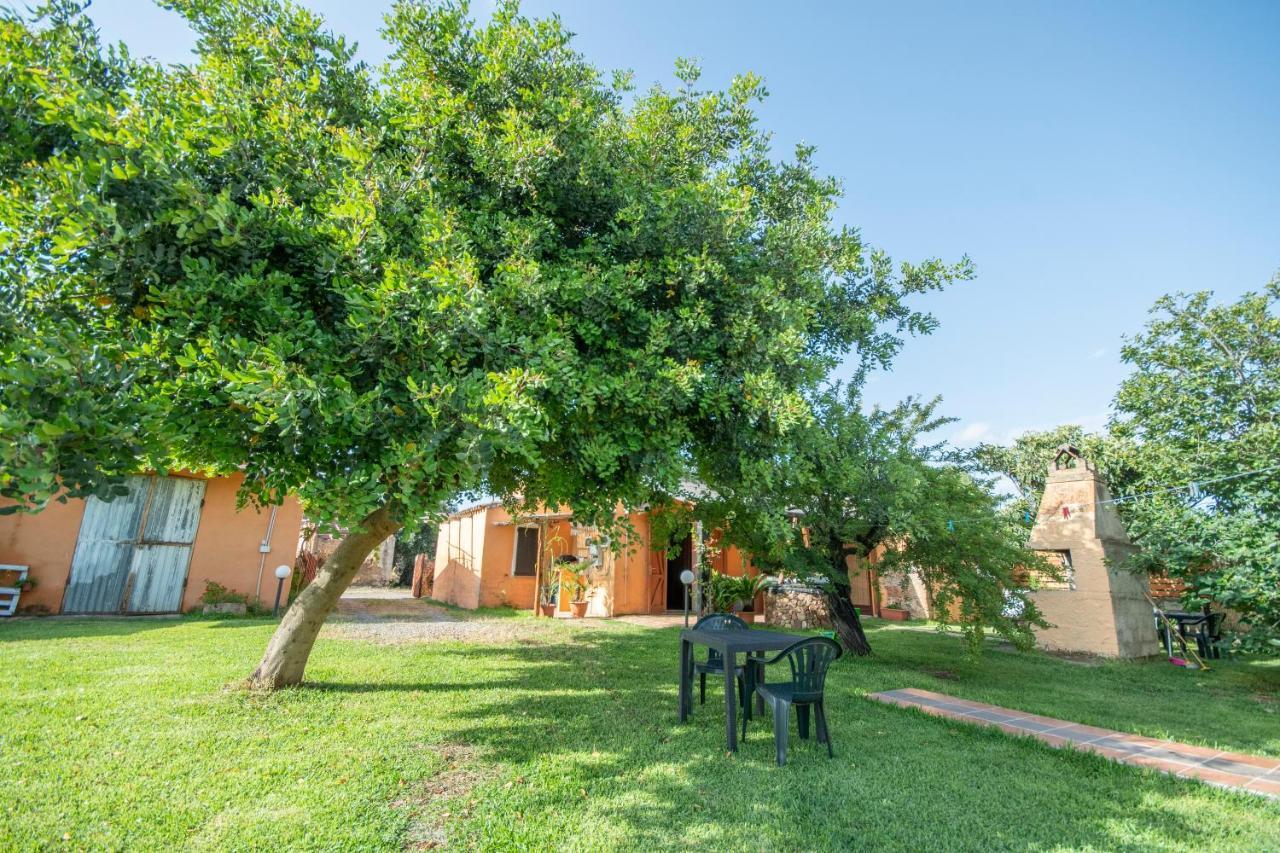 Is Cuccus Bed & Breakfast Masainas Exterior photo