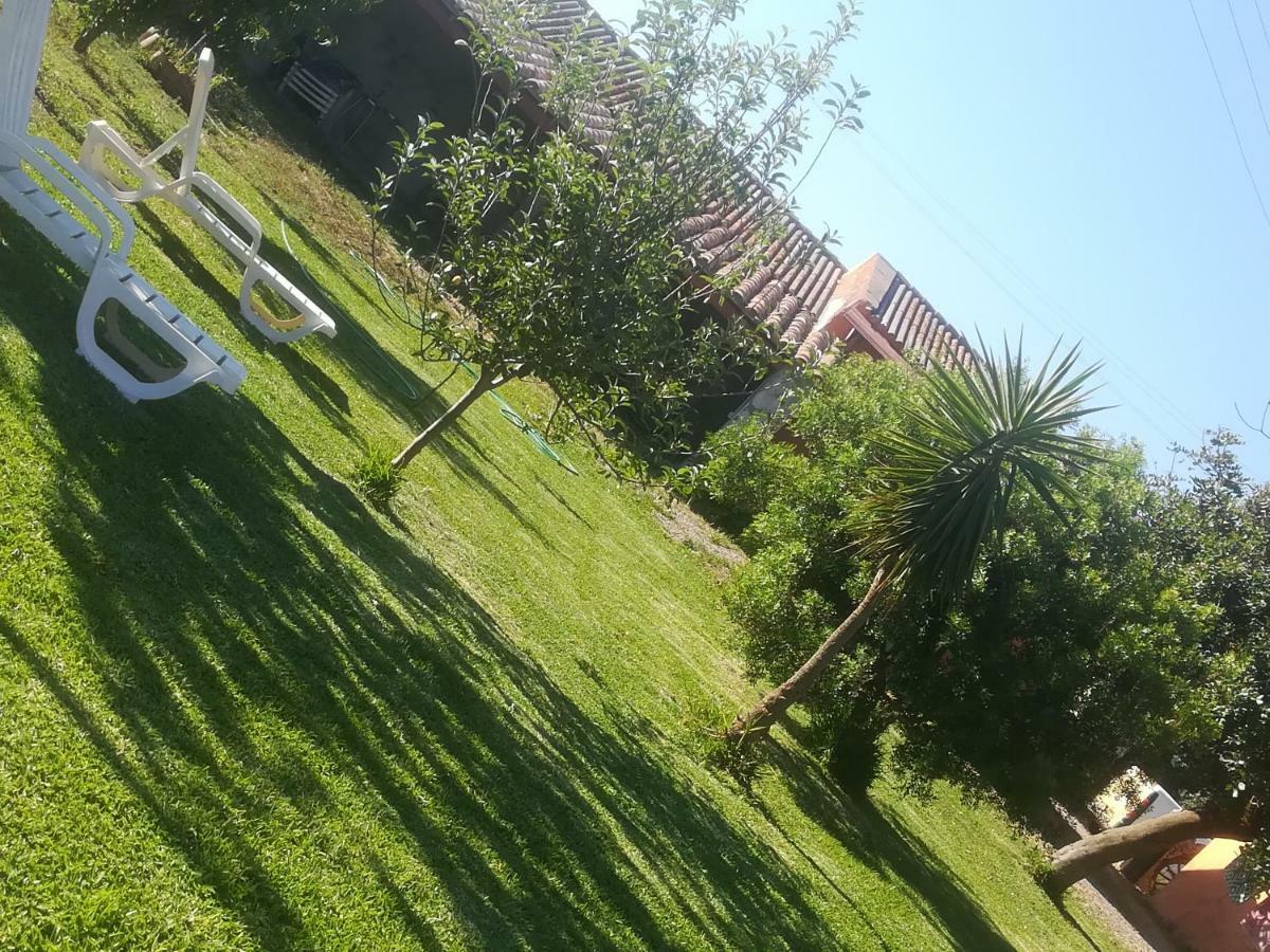 Is Cuccus Bed & Breakfast Masainas Exterior photo